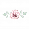 FleurDeSavon rozsa
